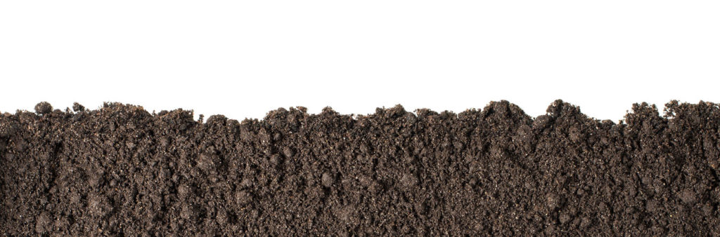 topsoil for laying a lawn
