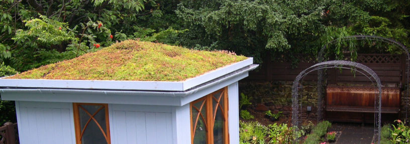 green roof kit