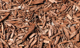 bark mulch