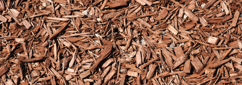 bark mulch