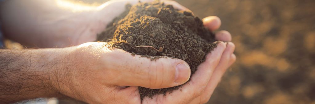 best soil for turfing topsoil