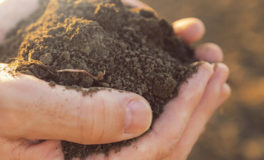 best soil for turfing topsoil