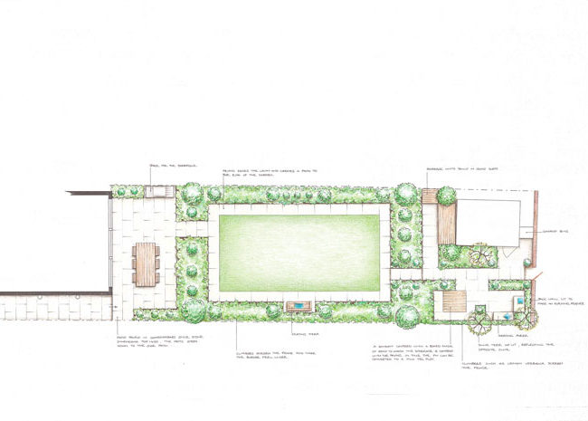 garden lawn design by TDS