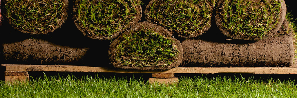 How To Lay Turf The Ultimate Guide