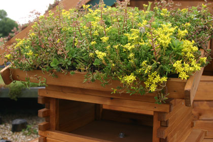 green roof credentials
