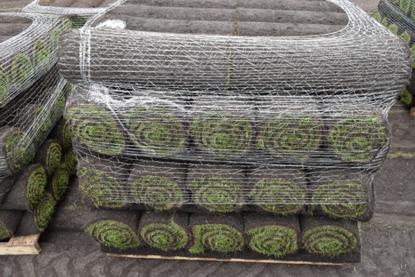 Turf on a pallet