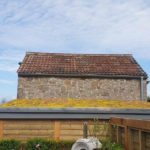 Sedum Pitched Roof Kit gallery image
