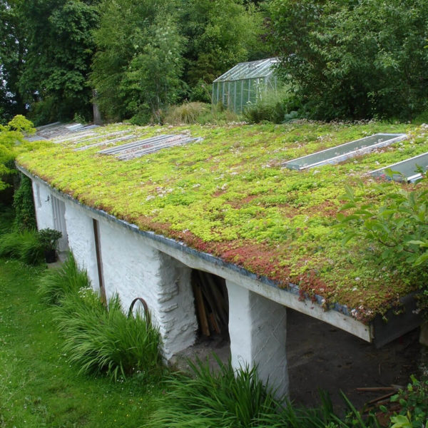 make a green roof