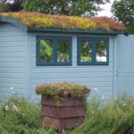 Sedum Pitched Roof Kit gallery image