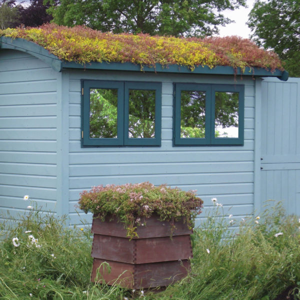 Shed Green Roof