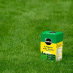 Miracle-Gro EverGreen Water Soluble Lawn Food gallery image
