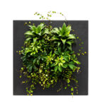 LivePicture GO Living Wall gallery image