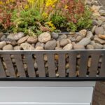 green roof edging