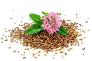 buy wildflower seed mixes