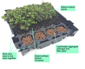 Green roofing trays